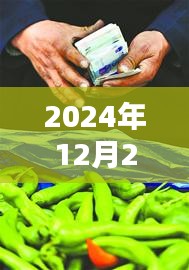 合肥黄鳝最新实时报价（2024年12月27日）