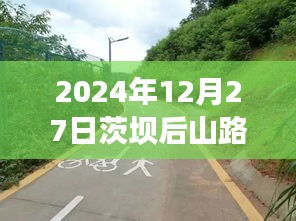 茨坝后山路况实时更新，查询表及指南