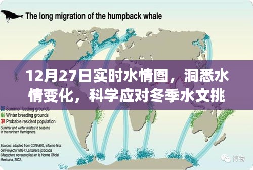 实时水情图，洞悉变化，应对冬季水文挑战