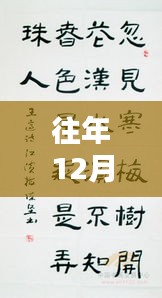 年终书法盛典，历年十二月二十七日书法现场风采展示