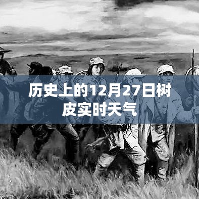 12月27日历史树皮实时天气概况