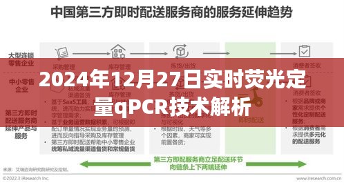 实时荧光定量PCR技术解析，深度解读基因表达数据