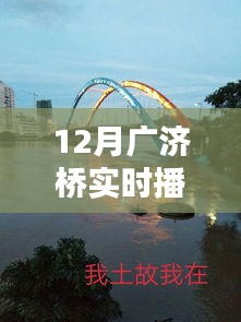 广济桥实时播报视频集锦，精彩瞬间一网打尽