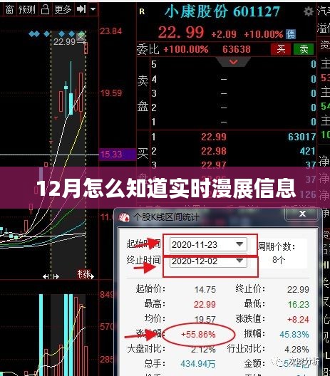 12月漫展实时信息大揭秘