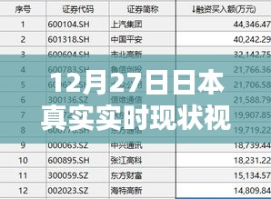 日本实时现状观察报告，深度解析日本现状视频