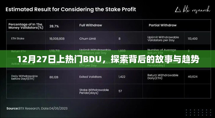 揭秘上热门背后的故事与趋势，BDU 12月27日深度解析