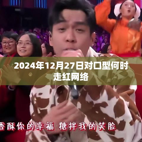 对口型网络走红时间解析，2024年12月27日