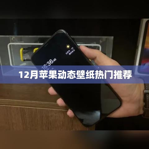 12月精选苹果动态壁纸，热门推荐来袭