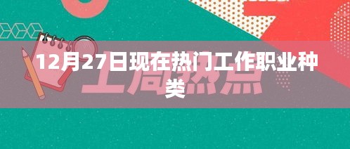 热门工作职业种类解析（12月27日更新）