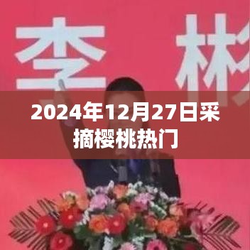 2024年樱桃采摘热潮，12月27日尝鲜季节