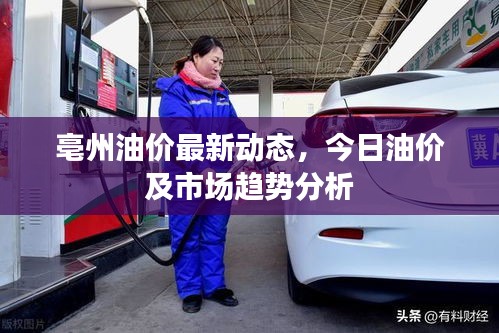亳州油价最新动态，今日油价及市场趋势分析