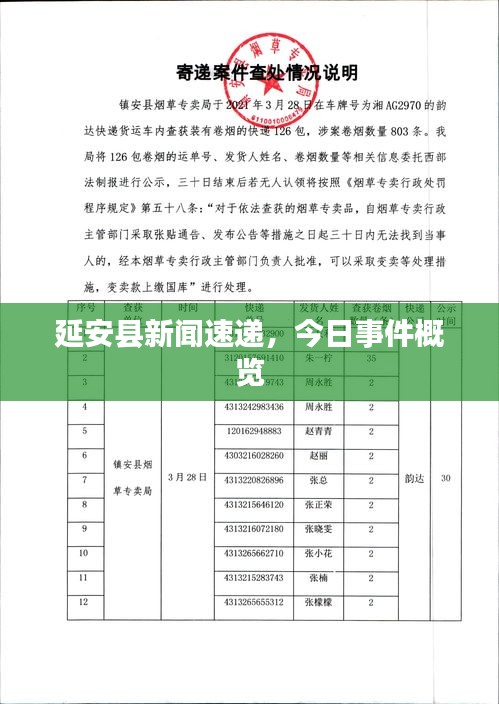 延安县新闻速递，今日事件概览