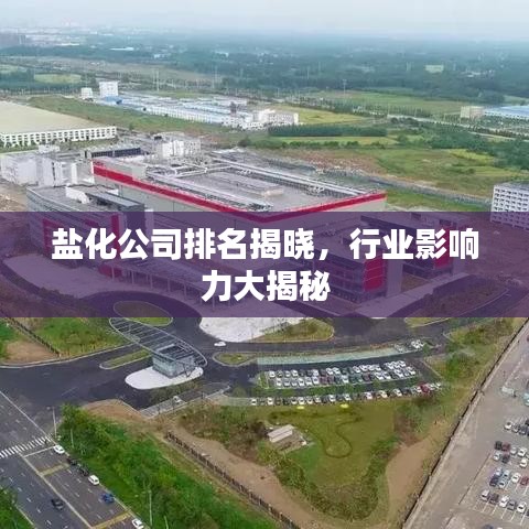 盐化公司排名揭晓，行业影响力大揭秘