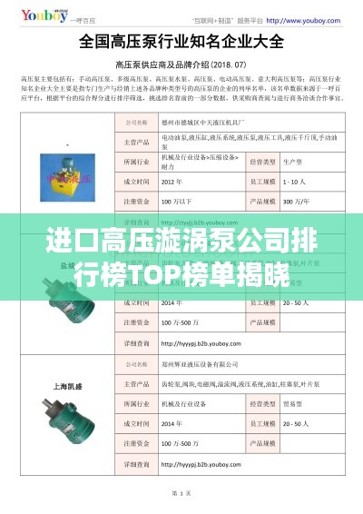 进口高压漩涡泵公司排行榜TOP榜单揭晓