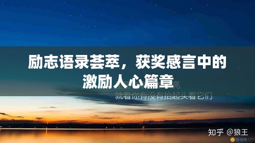 励志语录荟萃，获奖感言中的激励人心篇章
