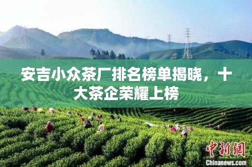 安吉小众茶厂排名榜单揭晓，十大茶企荣耀上榜