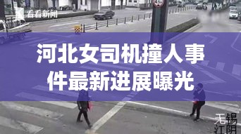 河北女司机撞人事件最新进展曝光