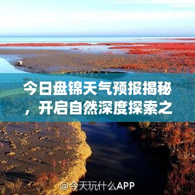 今日盘锦天气预报揭秘，开启自然深度探索之旅！