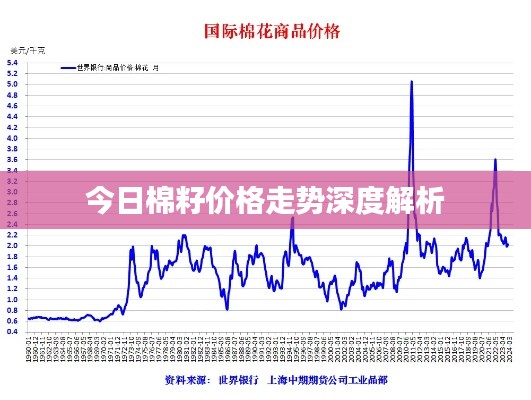 今日棉籽价格走势深度解析