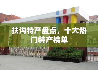 扶沟特产盘点，十大热门特产榜单