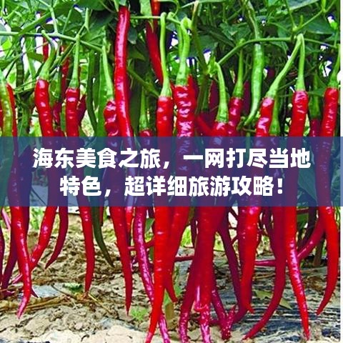海东美食之旅，一网打尽当地特色，超详细旅游攻略！