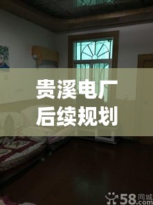贵溪电厂后续规划图深度解析，最新动态一览