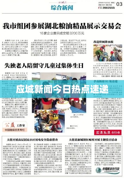应城新闻今日热点速递