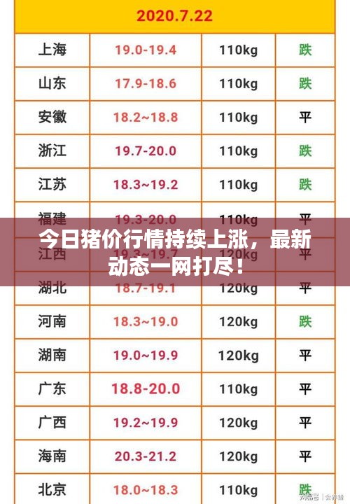 今日猪价行情持续上涨，最新动态一网打尽！