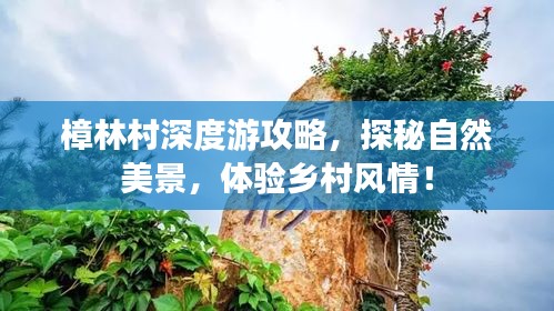樟林村深度游攻略，探秘自然美景，体验乡村风情！
