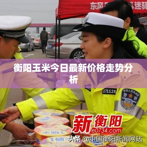 衡阳玉米今日最新价格走势分析