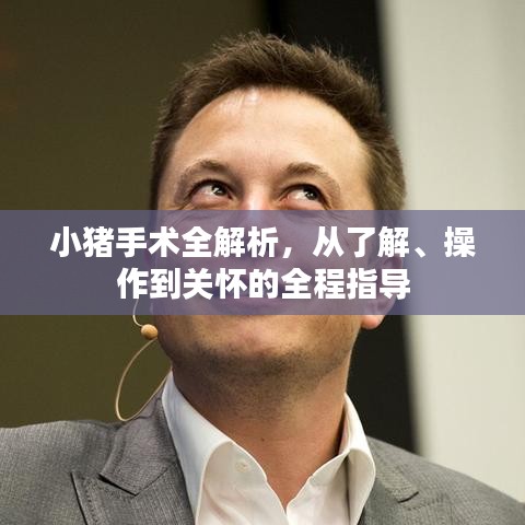 小猪手术全解析，从了解、操作到关怀的全程指导