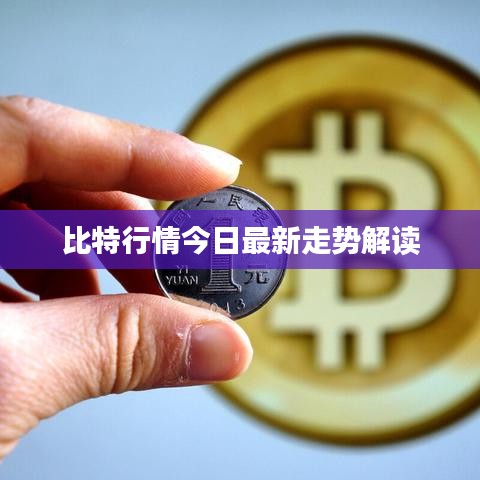 比特行情今日最新走势解读
