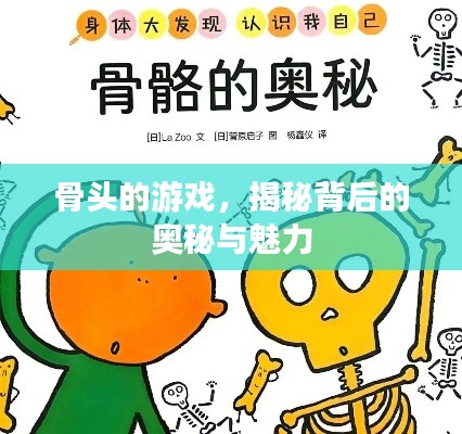 骨头的游戏，揭秘背后的奥秘与魅力