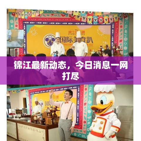 锦江最新动态，今日消息一网打尽
