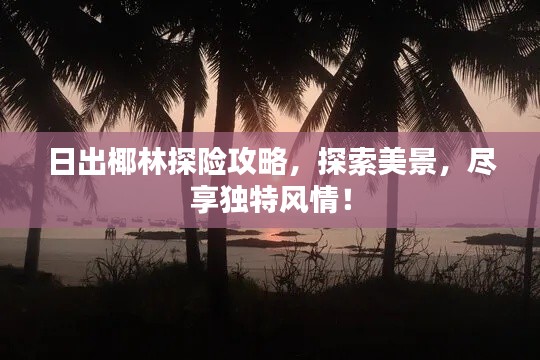 日出椰林探险攻略，探索美景，尽享独特风情！