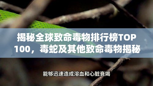 揭秘全球致命毒物排行榜TOP100，毒蛇及其他致命毒物揭秘
