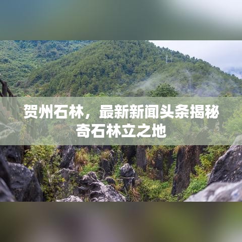 贺州石林，最新新闻头条揭秘奇石林立之地