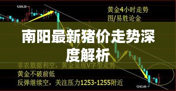 一张一弛