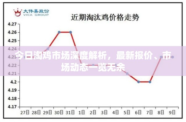 今日淘鸡市场深度解析，最新报价、市场动态一览无余