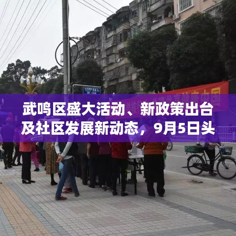 武鸣区盛大活动、新政策出台及社区发展新动态，9月5日头条新闻抢先看