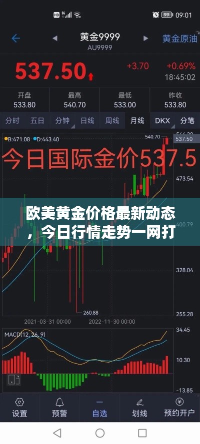 欧美黄金价格最新动态，今日行情走势一网打尽！