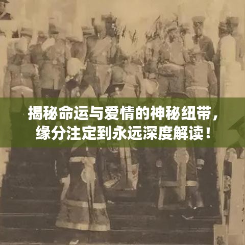 揭秘命运与爱情的神秘纽带，缘分注定到永远深度解读！