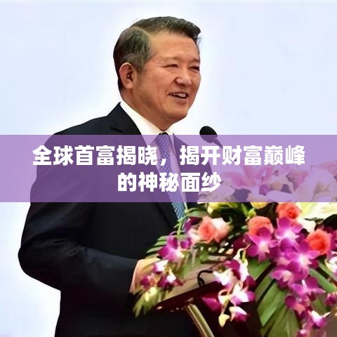 全球首富揭晓，揭开财富巅峰的神秘面纱