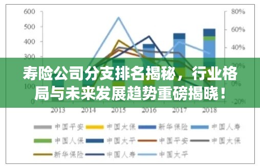 寿险公司分支排名揭秘，行业格局与未来发展趋势重磅揭晓！