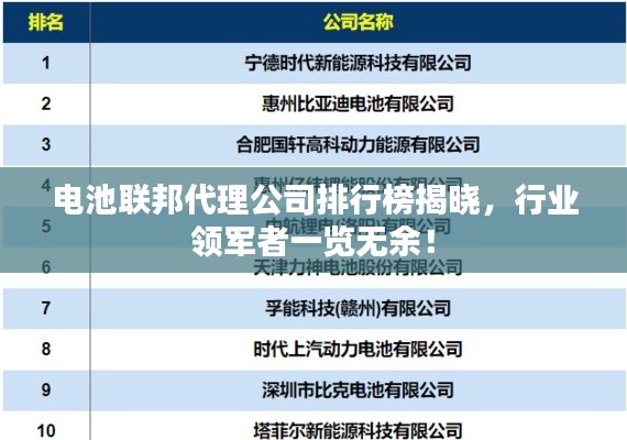 电池联邦代理公司排行榜揭晓，行业领军者一览无余！