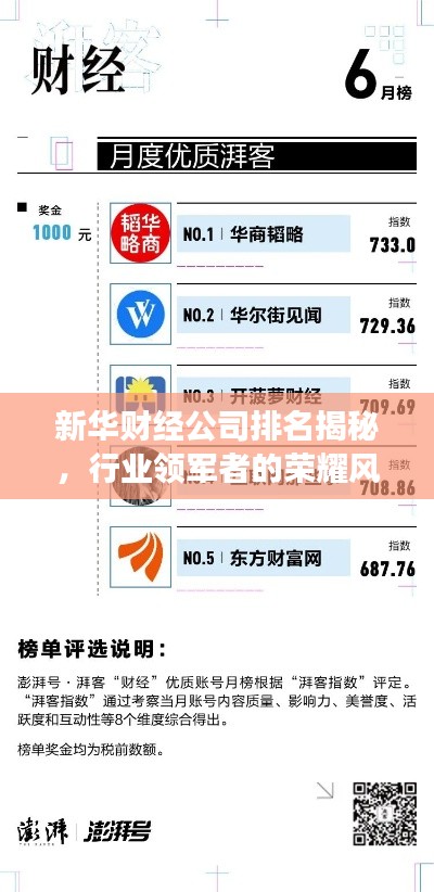 新华财经公司排名揭秘，行业领军者的荣耀风采展示