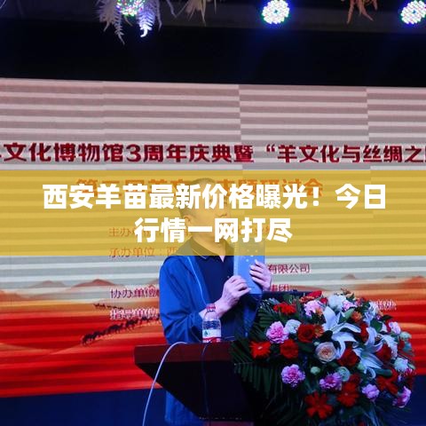 西安羊苗最新价格曝光！今日行情一网打尽