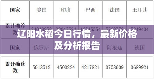 辽阳水稻今日行情，最新价格及分析报告