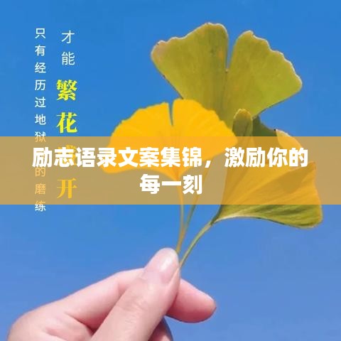 励志语录文案集锦，激励你的每一刻