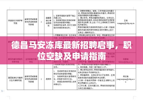 德昌马安冻库最新招聘启事，职位空缺及申请指南